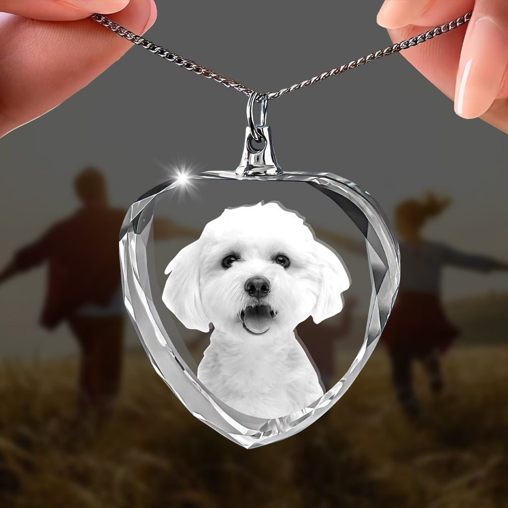 Necklace Heart 3D